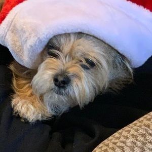 Meet your Posher, Marcie